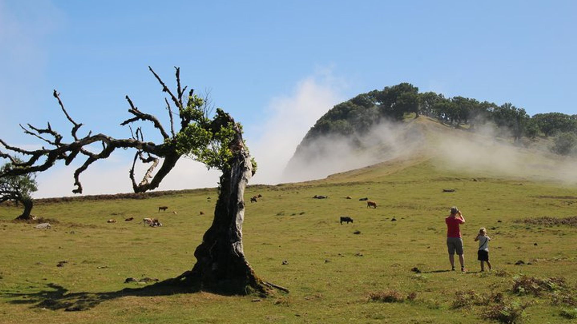 Porto Moniz 4x4 Westtour