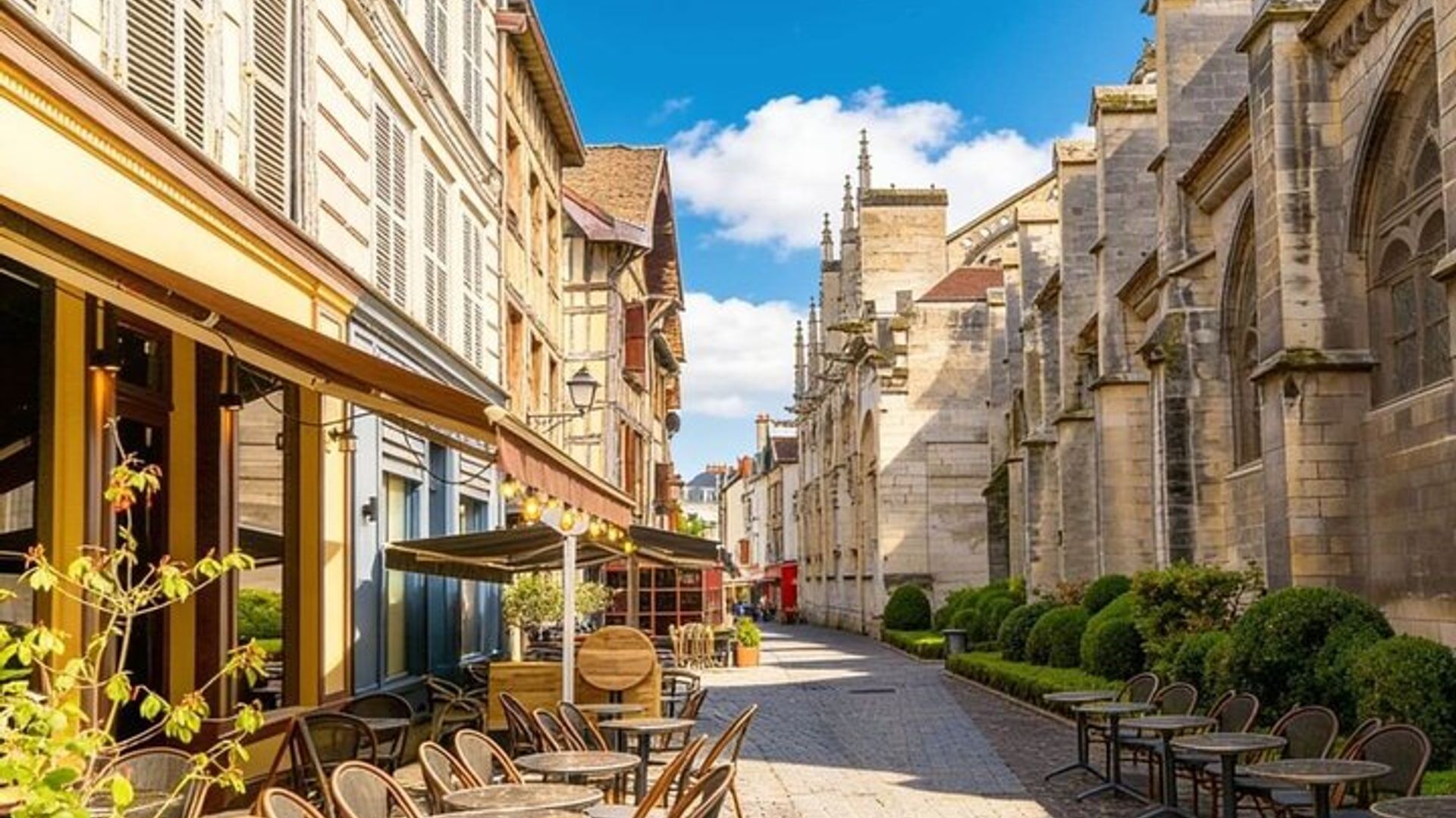 Hello Toryes: Private 2-Hour Intro City Walk with Local Guide