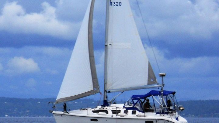 Seattle Private Puget Sound Sailing Adventure