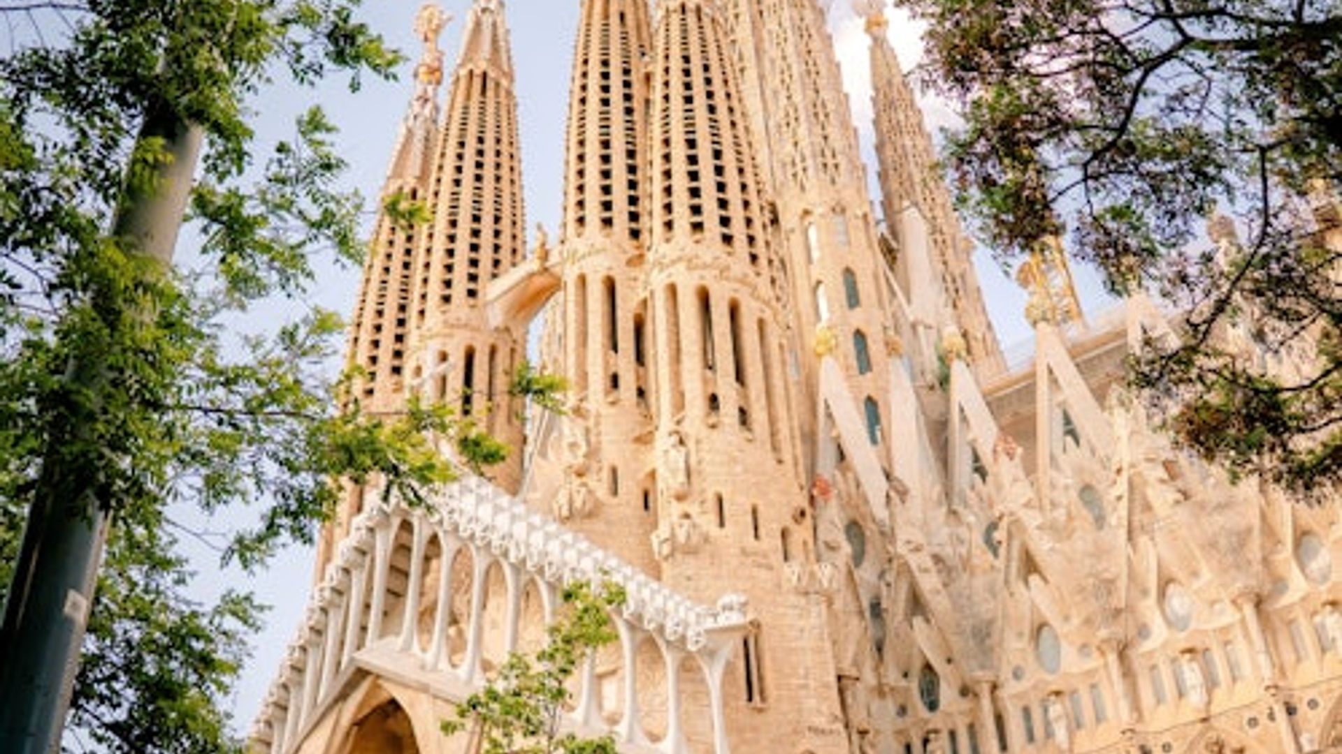 Sagrada Familia: Skip The Line Ticket + Guided Tour