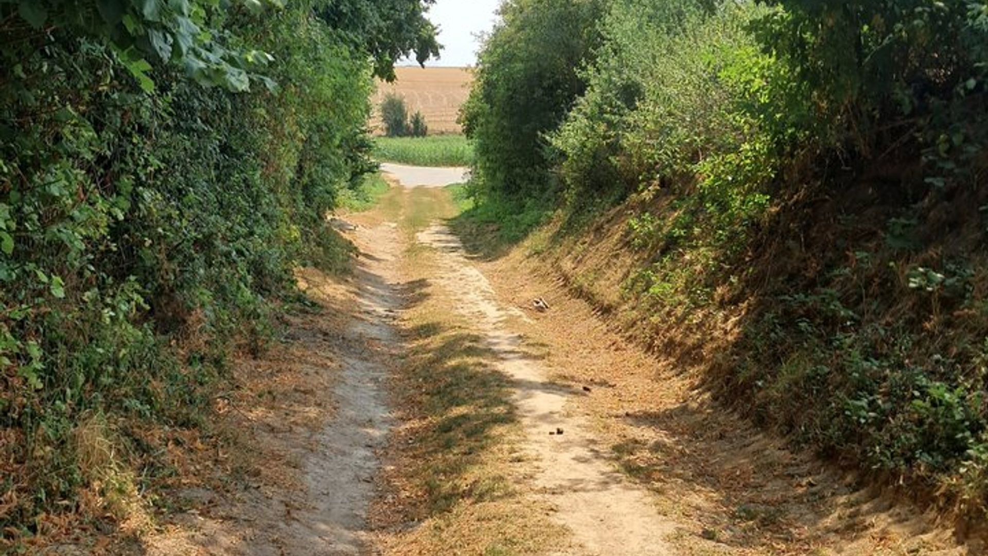 Somme Battlefield Tours Experte führte historische Erfahrungen