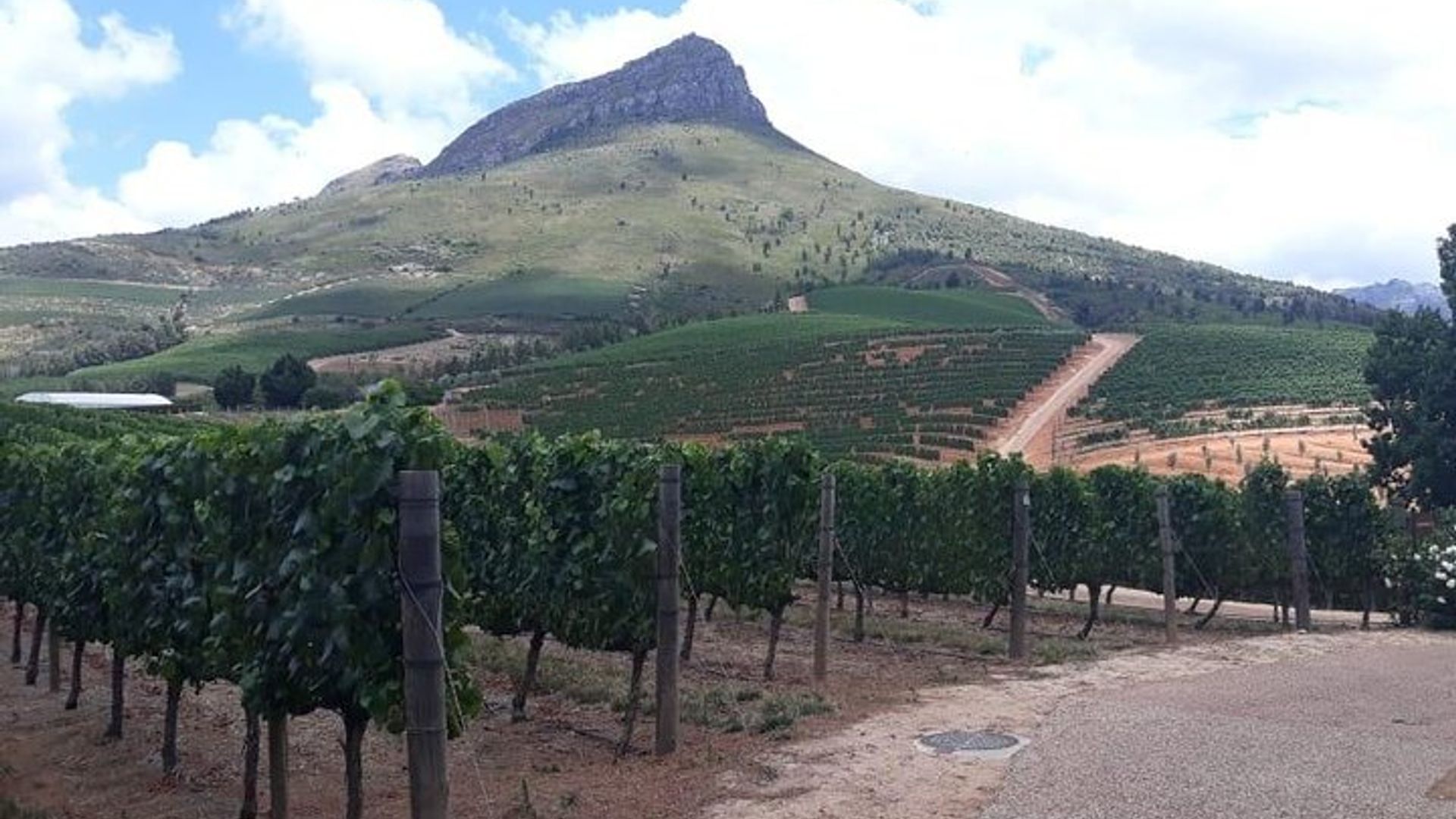 Weinverkostungstour durch Stellenbosch, Franschhoek und Paarl