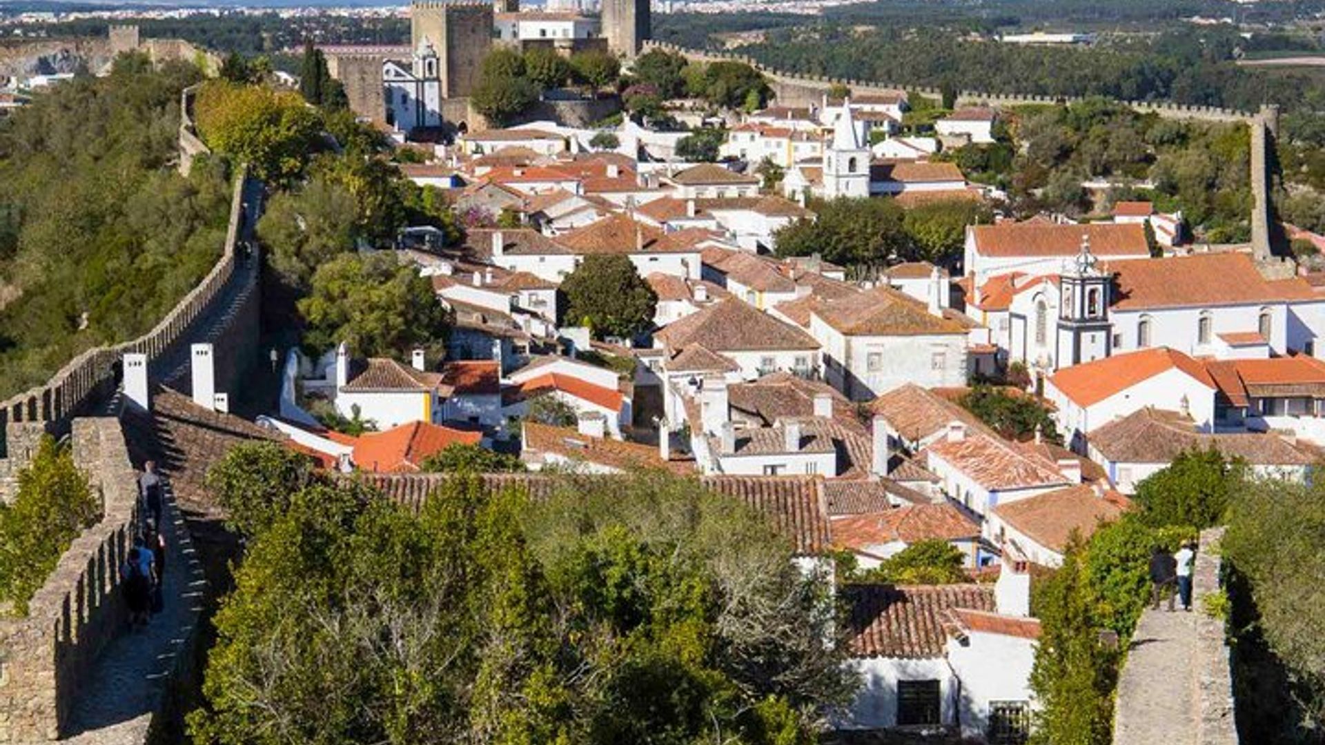 Visite privée: Découvrez la riche histoire médiévale d'Obidos