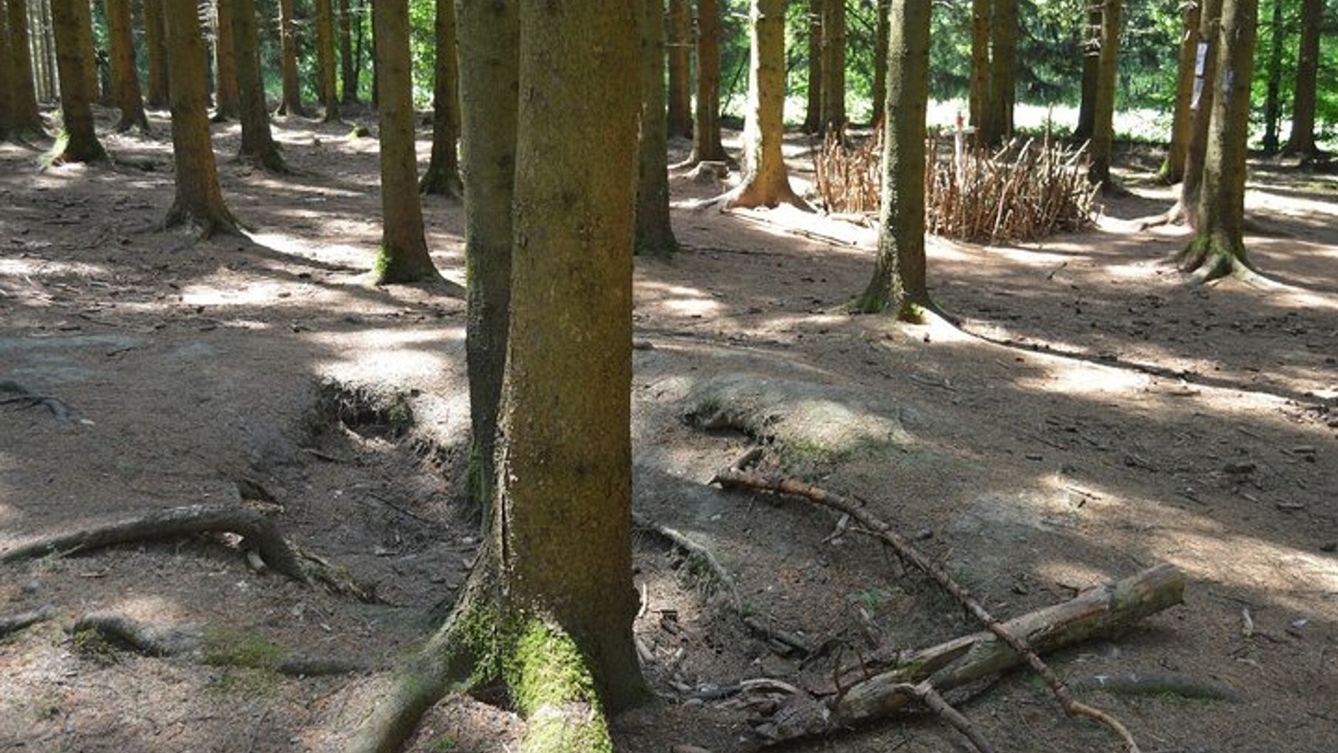 Waterloo Battlegrounds und Lion’s Mound Private Tour
