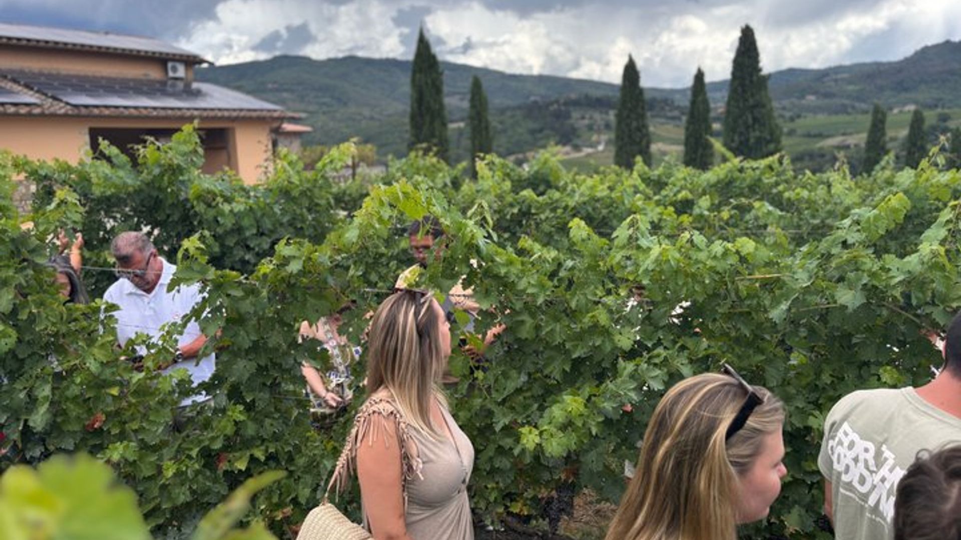 Tour de Florencia a la campiña toscana con cata de vinos para grupos pequeños