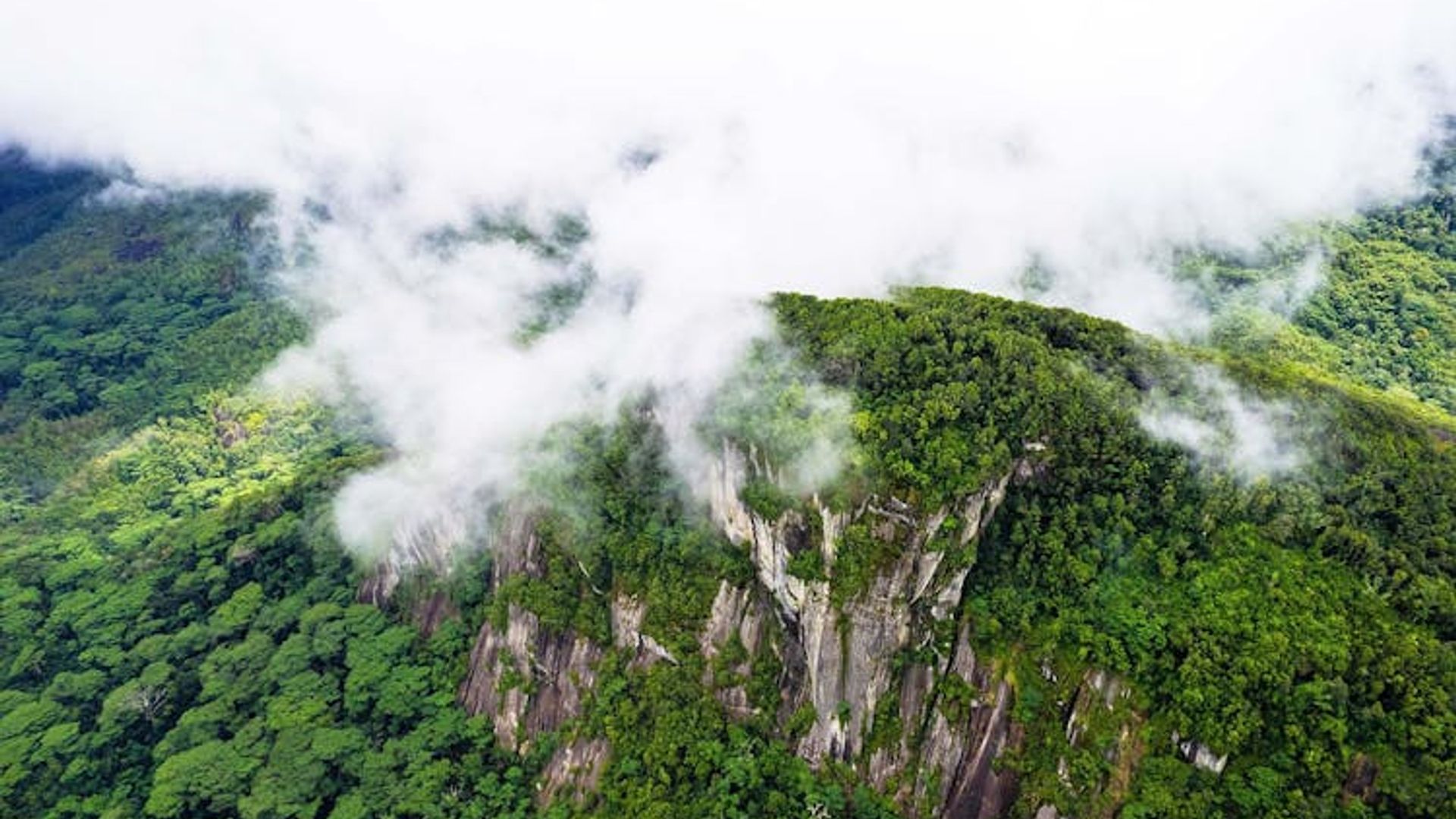 Private nature trail Morne Blanc from Mahé