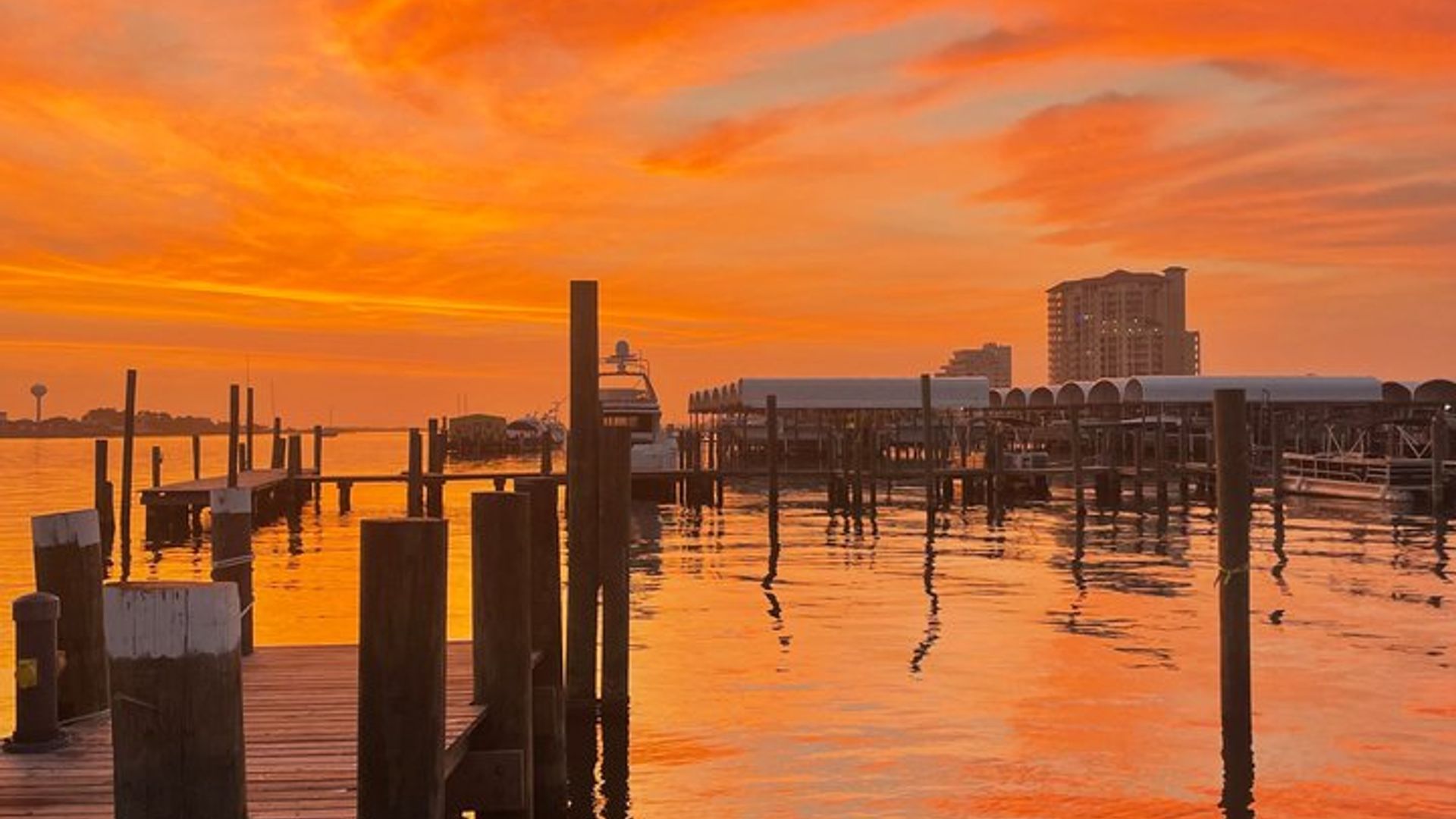 Delfinbeobachtungstour bei Sonnenuntergang