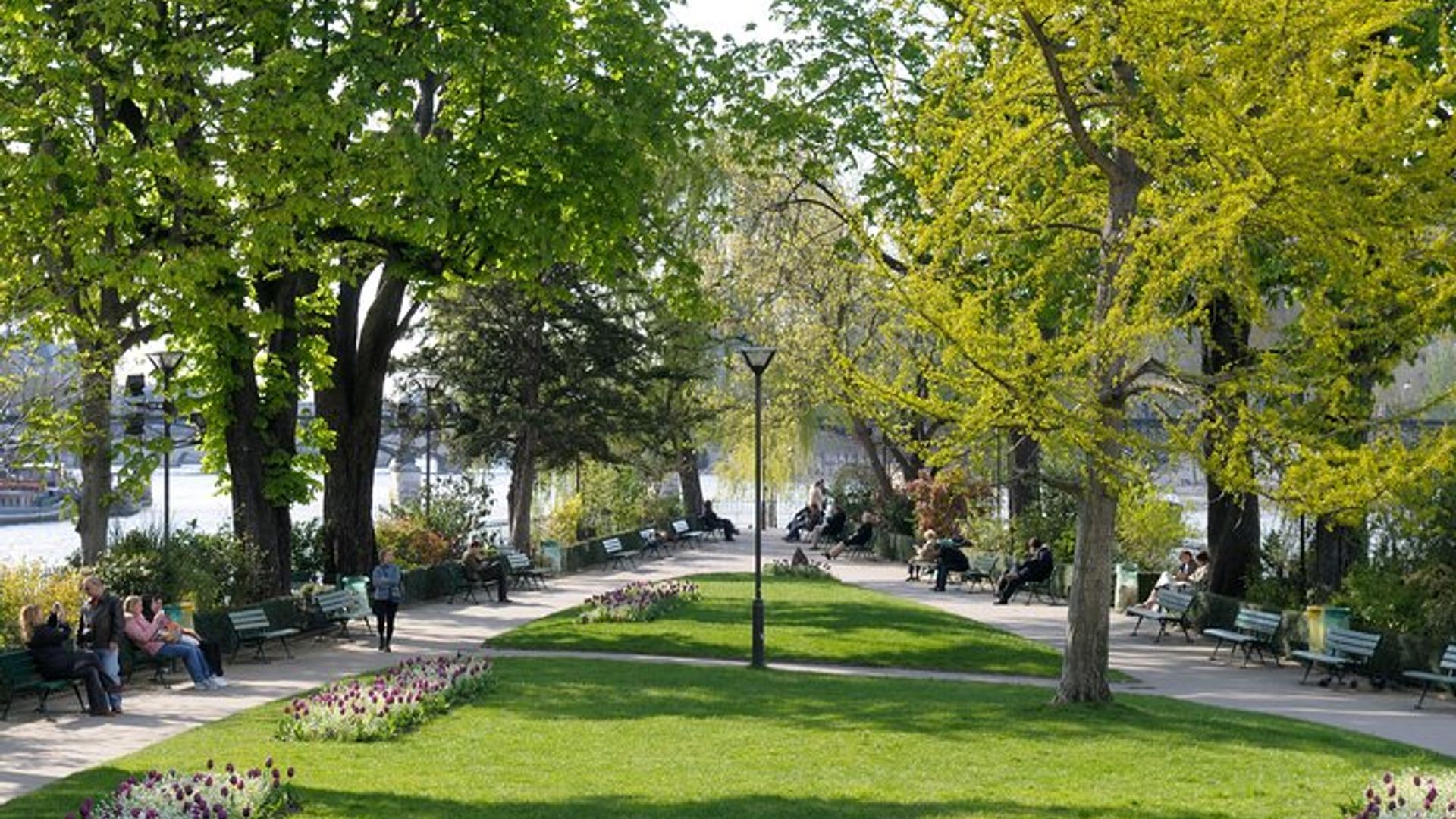Tour del Esterno della Cattedrale di Notre Dame e della Cripta in Piccolo Gruppo a Parigi