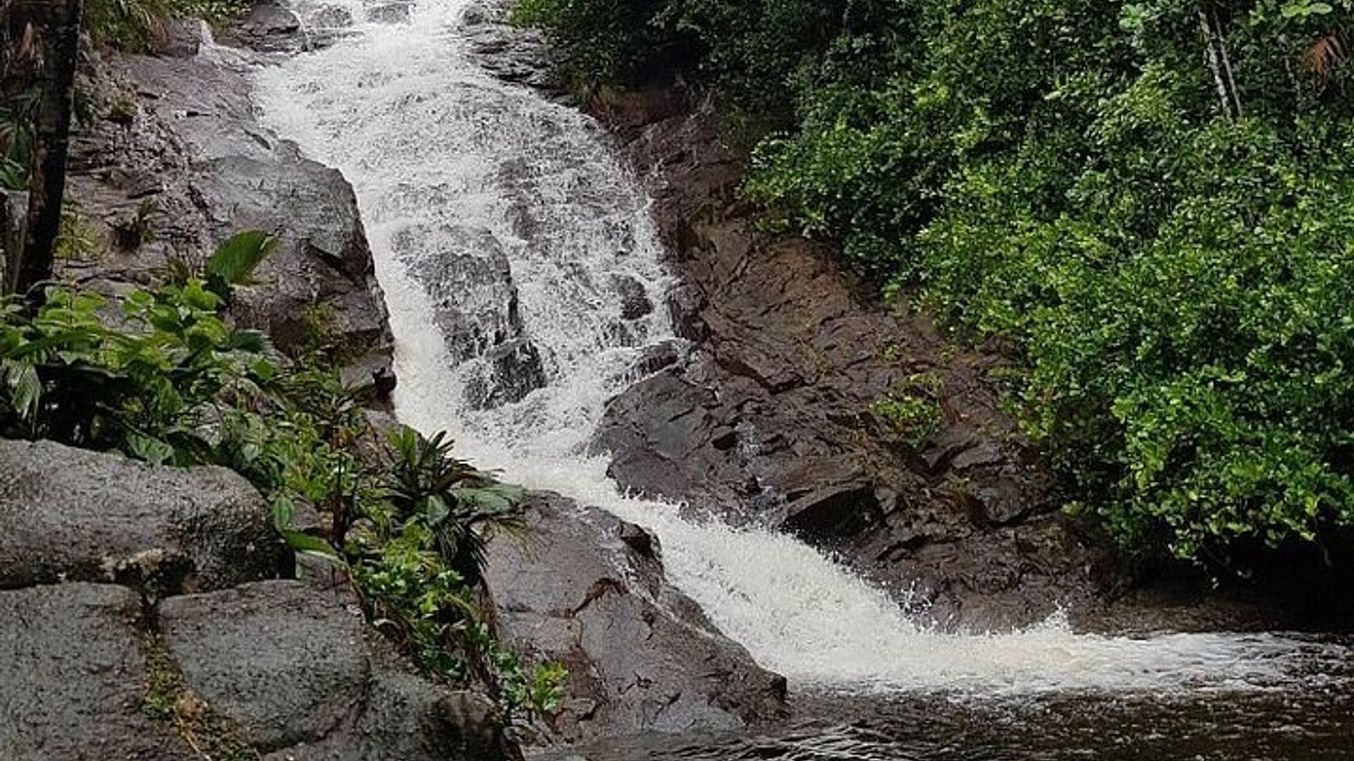 Private Mahe Island Half-Day Tour with Pick up