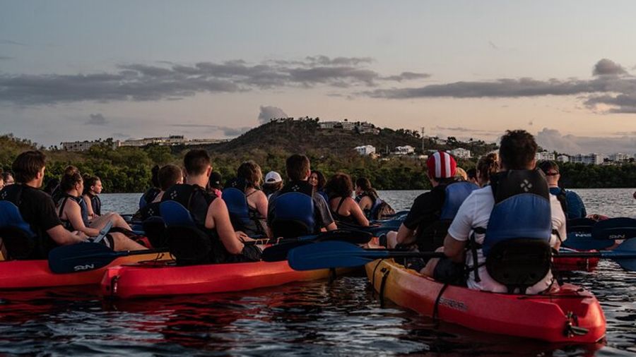 Fajardo: Laguna Grande Bioluminescent Bay Kayaking Trip