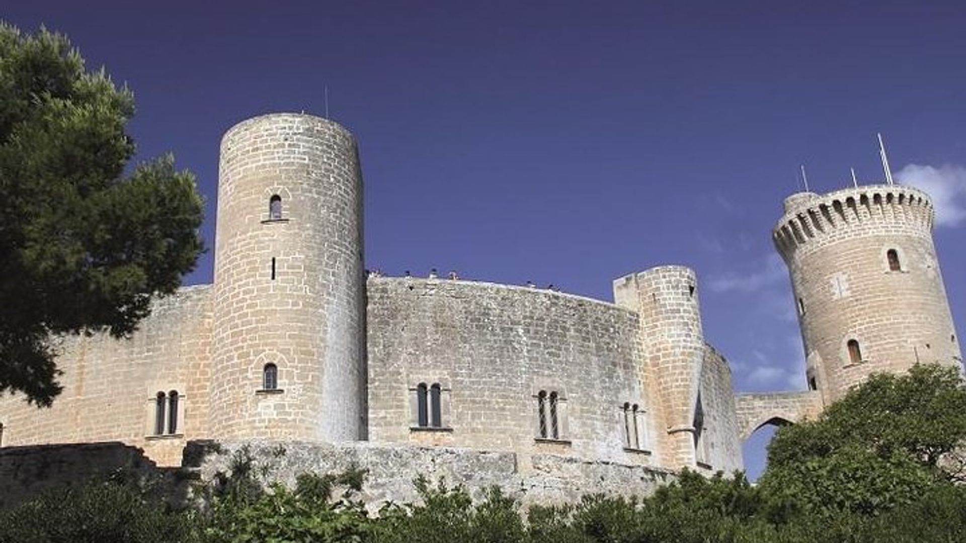 Visite guidée de Palma de Majorque avec prise en charge à l'hôtel