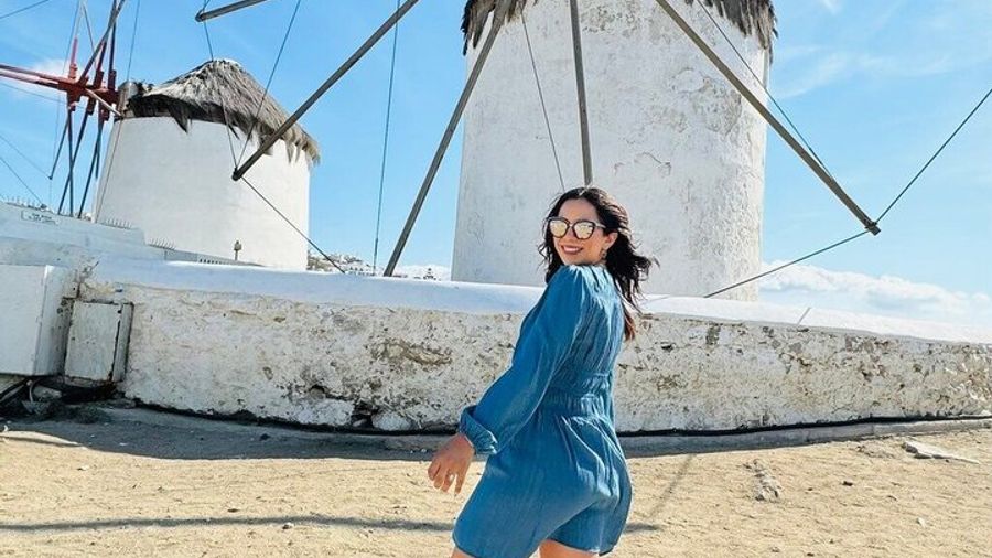 Mykonos Small-Group Island Tour With Local Guide