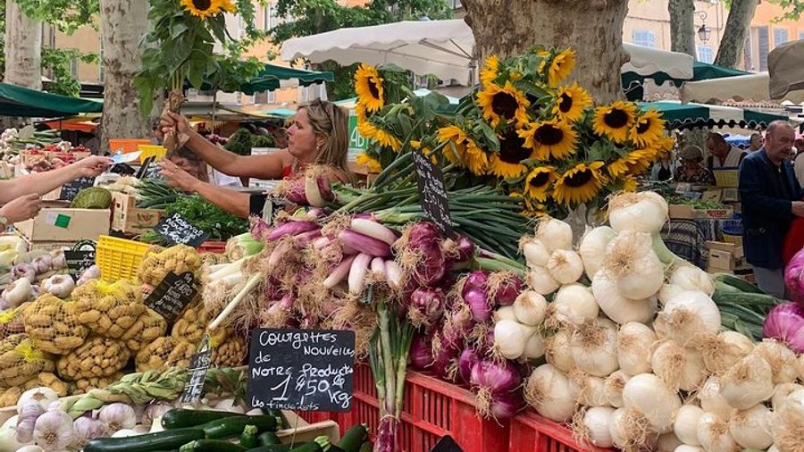 Aix En Provence Culture & Gastronomy Tasting Tour