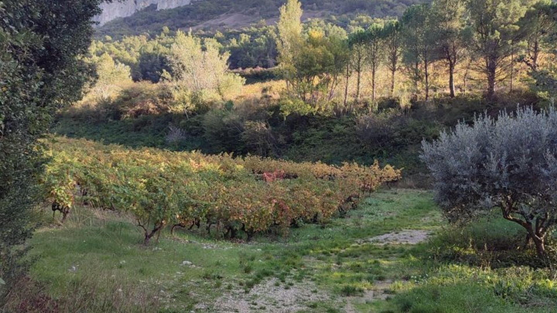 Drôme Côtes du Rhône Grignan Journée Géologie Terroir Vin