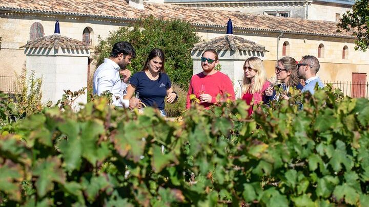 Bordeaux Wine Tasting and Chateaux Small-Group Tour