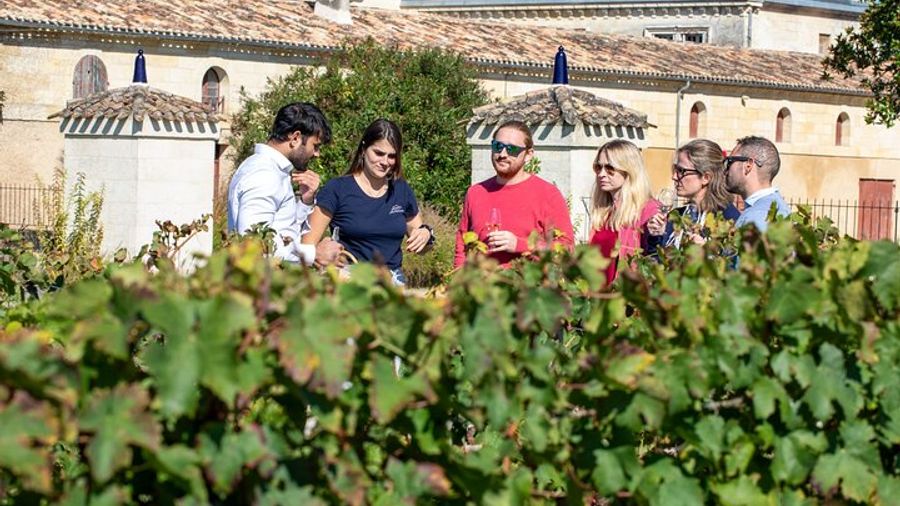 Bordeaux: Small-Group Winery Tour With Tastings