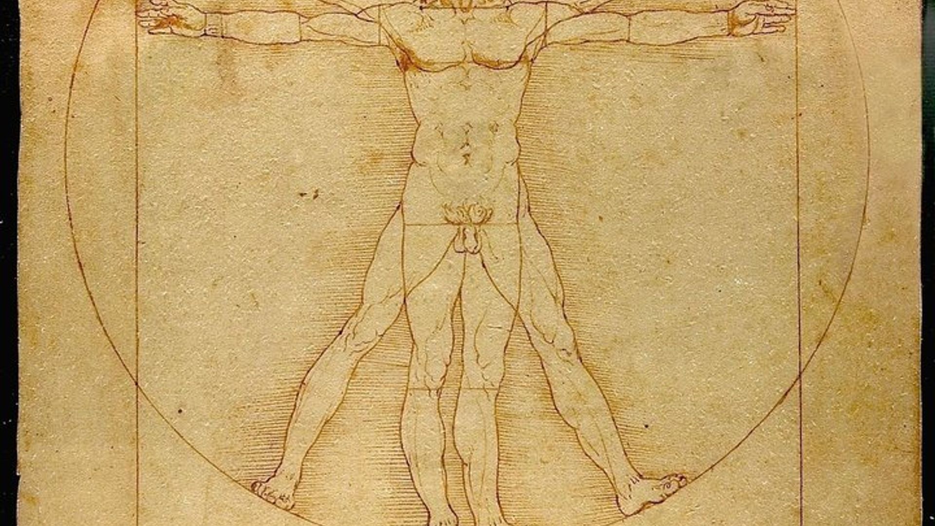Florence: Accademia Gallery to See David Skip-the-Line Tickets
