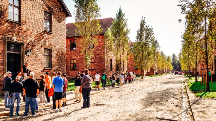 From Krakow: Auschwitz Birkenau Guided Tour with Hotel Pickup