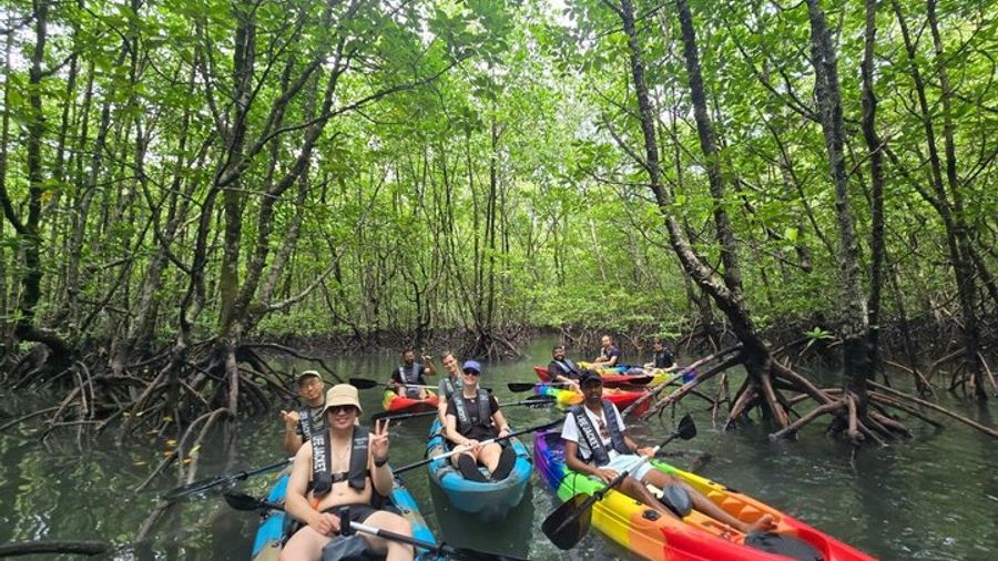 Langkawi : Kilim Geoforest Park Mangrove Kayak Tour with Lunch