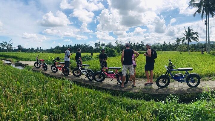 Ubud Small-Group Half-Day Fat Tire E-Bike Tour