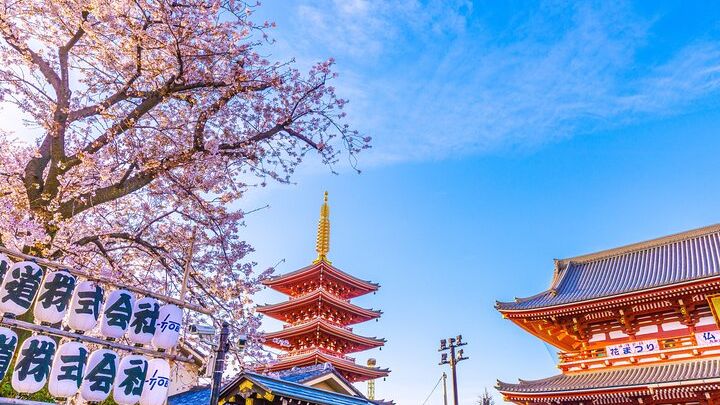 Tokyo: Asakusa & Sensoji ー Oldest Temple Walking Tour (2hrs)