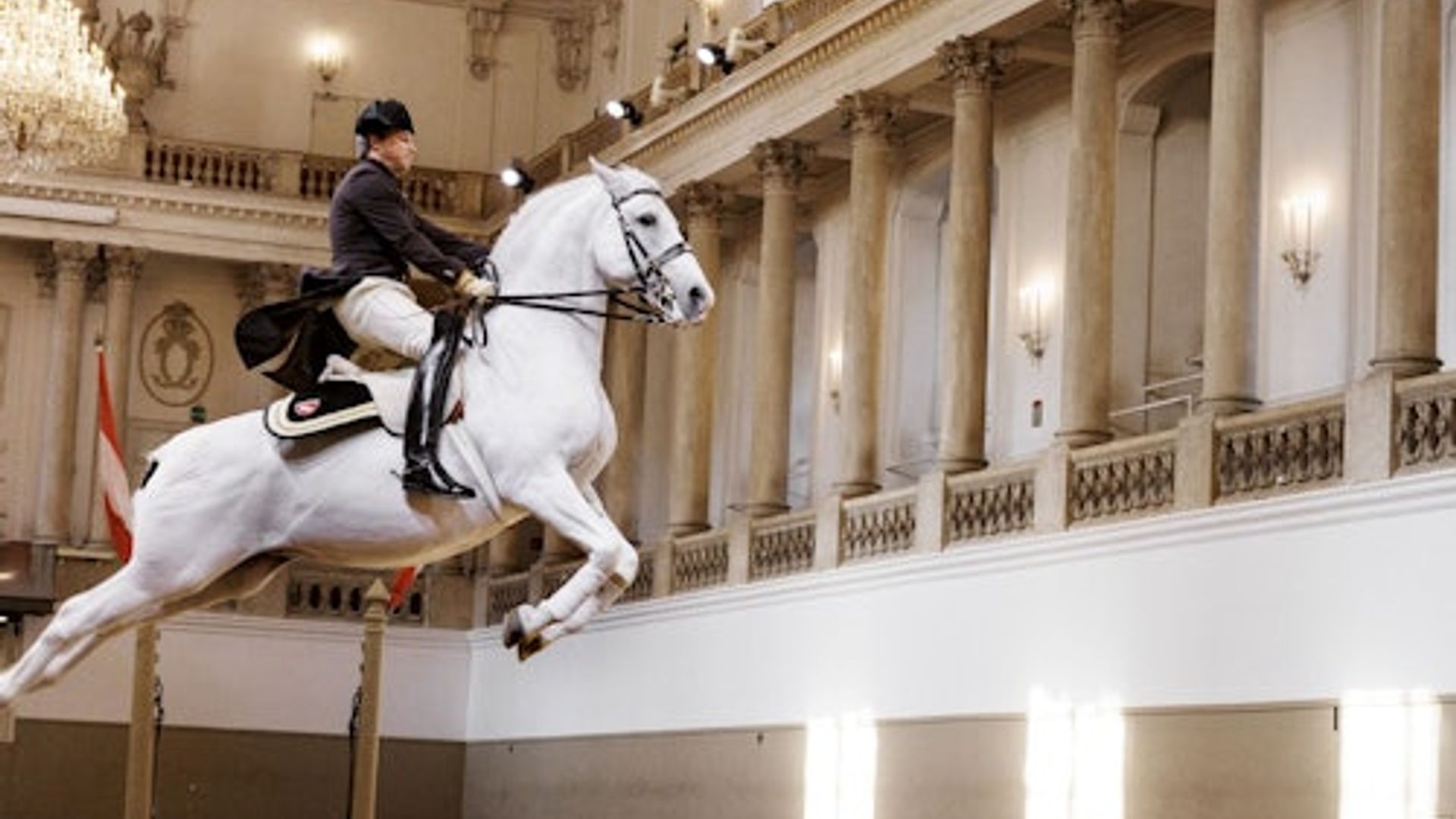 Lipizzaner Performance at the Spanish Riding School