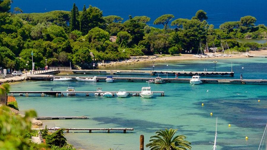 Private Boat Tour Cannes Lerins Islands