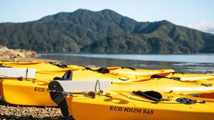 Queen Charlotte Sound Half-Day Kayak Tour from Picton