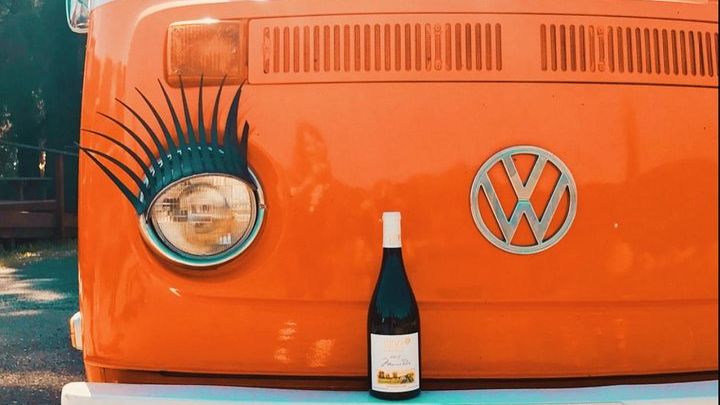 Sonoma: Small-Group Full-Day Wineries Tour from San Francisco