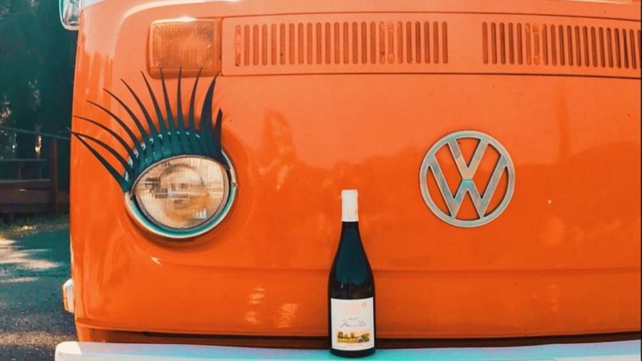 Sonoma: Small-Group Full-Day Wineries Tour from San Francisco