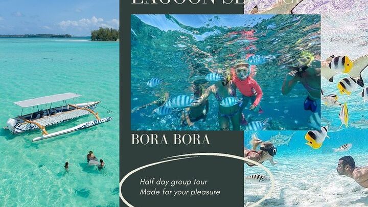 Half-Day Small-Group Snorkel Tour of Bora Bora Lagoon