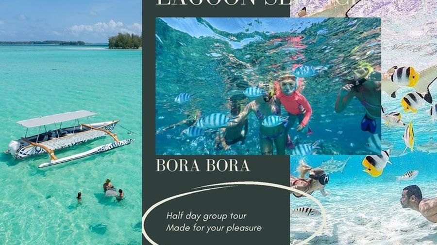 Half-Day Small-Group Snorkel Tour of Bora Bora Lagoon