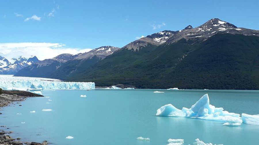 Transfer Moreno Glacier Full Day (roundtrip 6 hours)