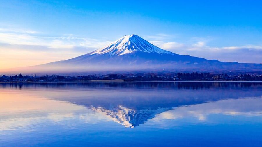 Mt.Fuji and Hakone Tour by Private Vehicle