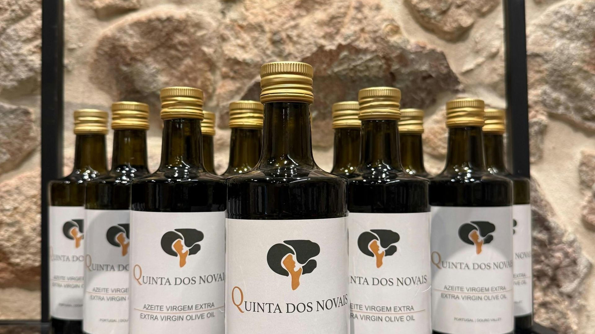Wine tasting at Quinta dos Novais in Douro Valley