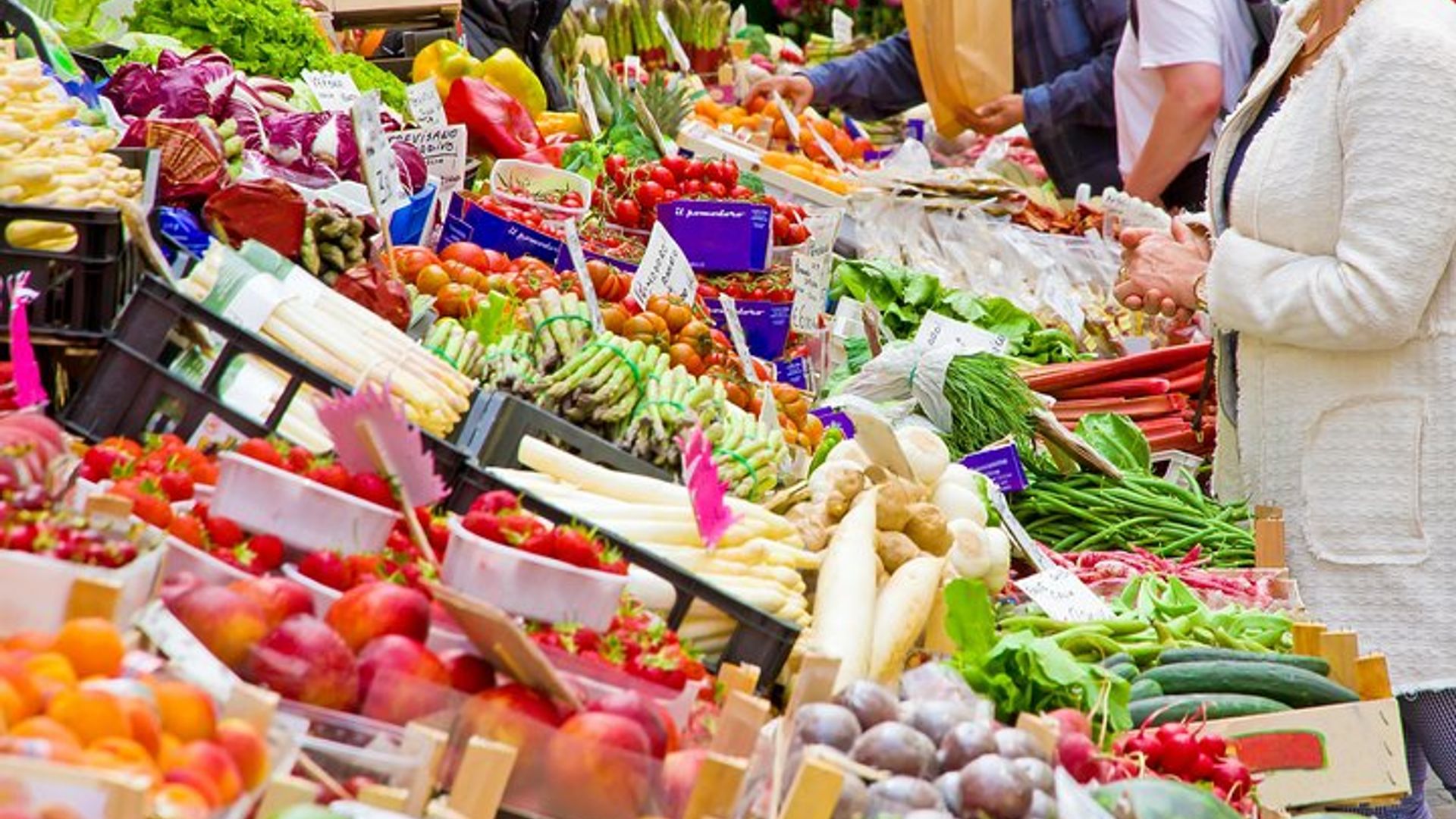Verona Small-Group Market Tour and Cooking Class