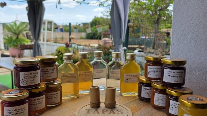 Food Tour: Local Tapas & Tastings w/ Family Farm Visit