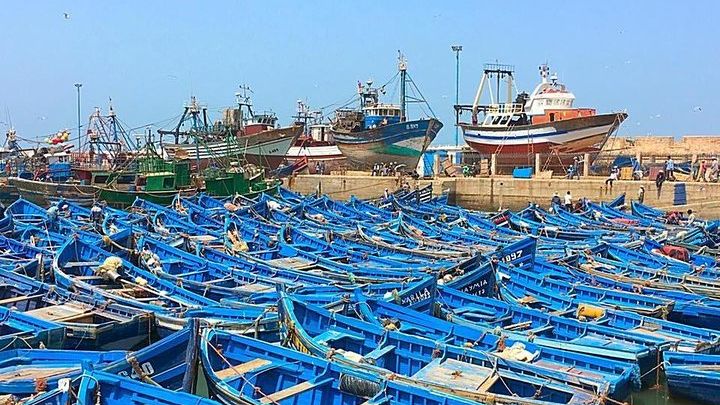Marrakech To Essaouira Small Group Day Tour