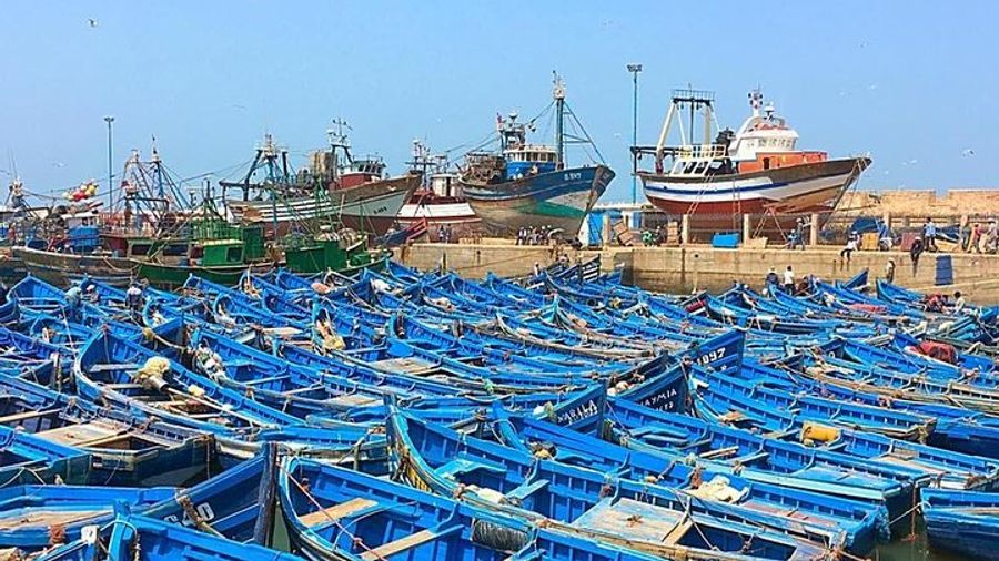 Marrakech To Essaouira Small Group Day Tour