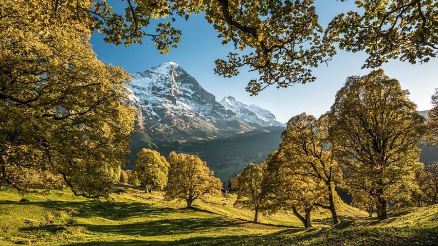 Grindelwald Interlaken and Lauterbrunnen Day Trip From Lucerne