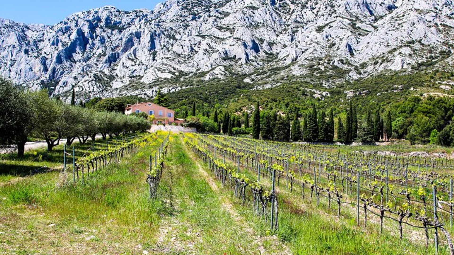 Provence Food and Wine Tour mit einem privaten Guide