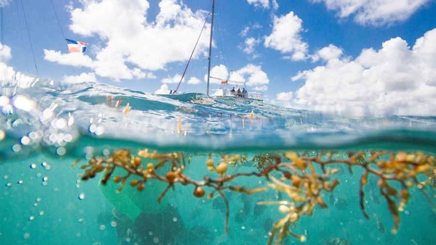Punta Cana Sailing and Snorkeling Small-Group Catamaran Tour