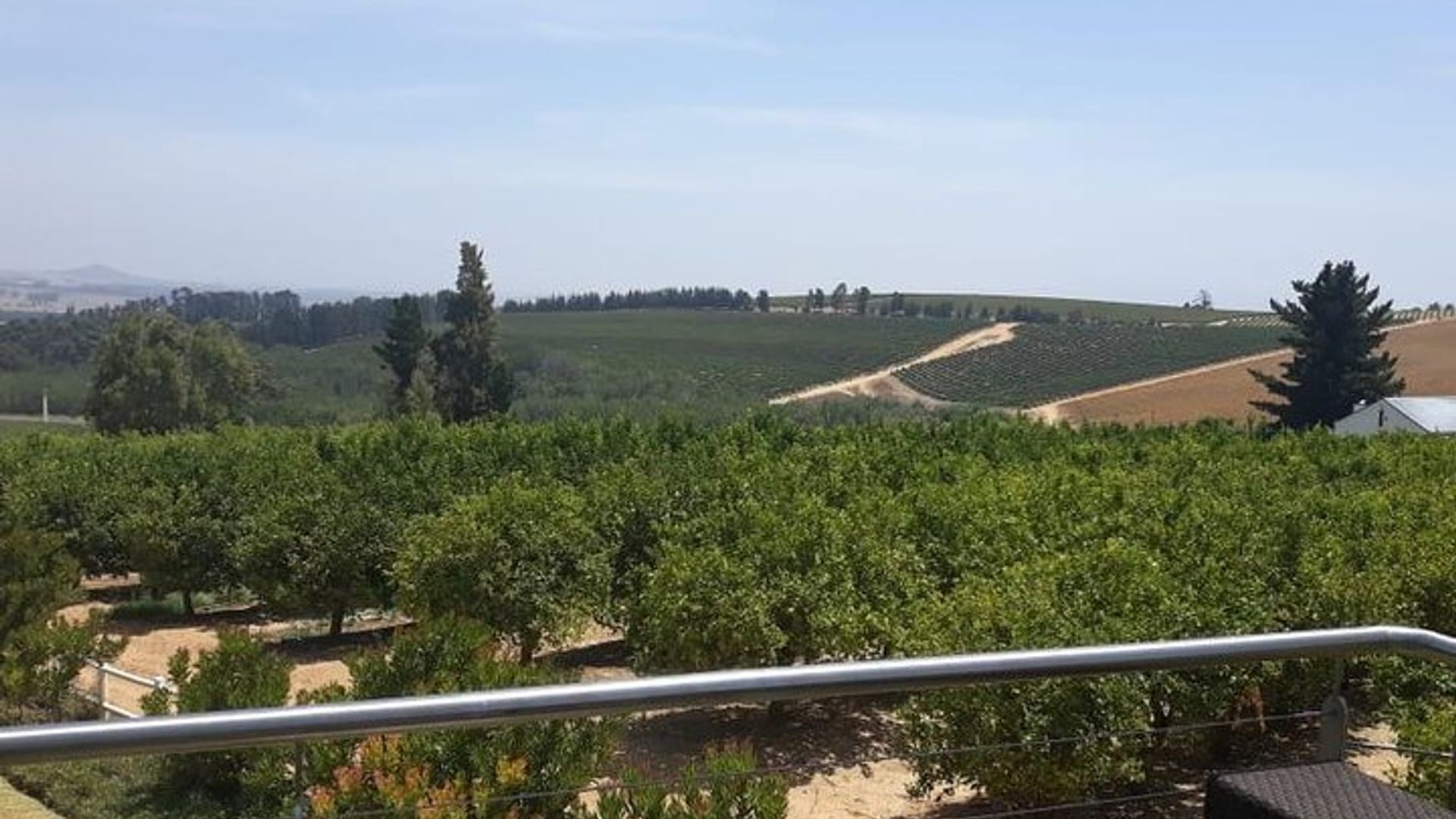 Visite de dégustation de vins de Stellenbosch, Franschhoek et Paarl
