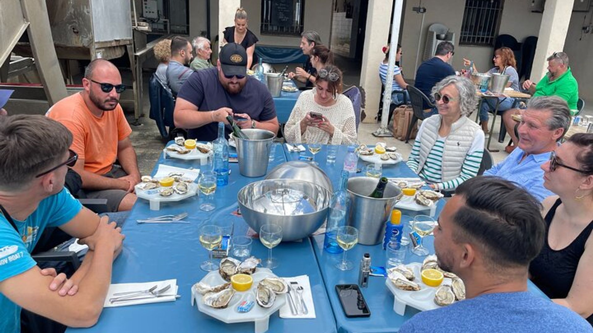 Ausflug zum Picpoul de Pinet – halbtägiger Ausflug zu Austern und Weinen