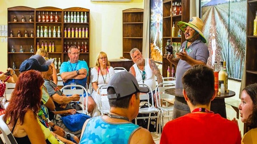Cozumel: Private Tour to Jade Caverns With Snorkeling, Lunch