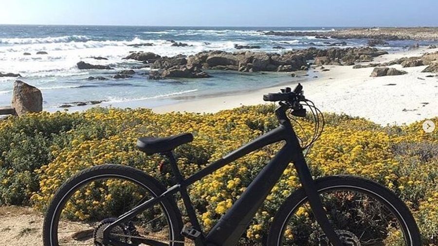 Carmel Pebble Beach 17-Mile Drive Small-Group E-Bike Tour