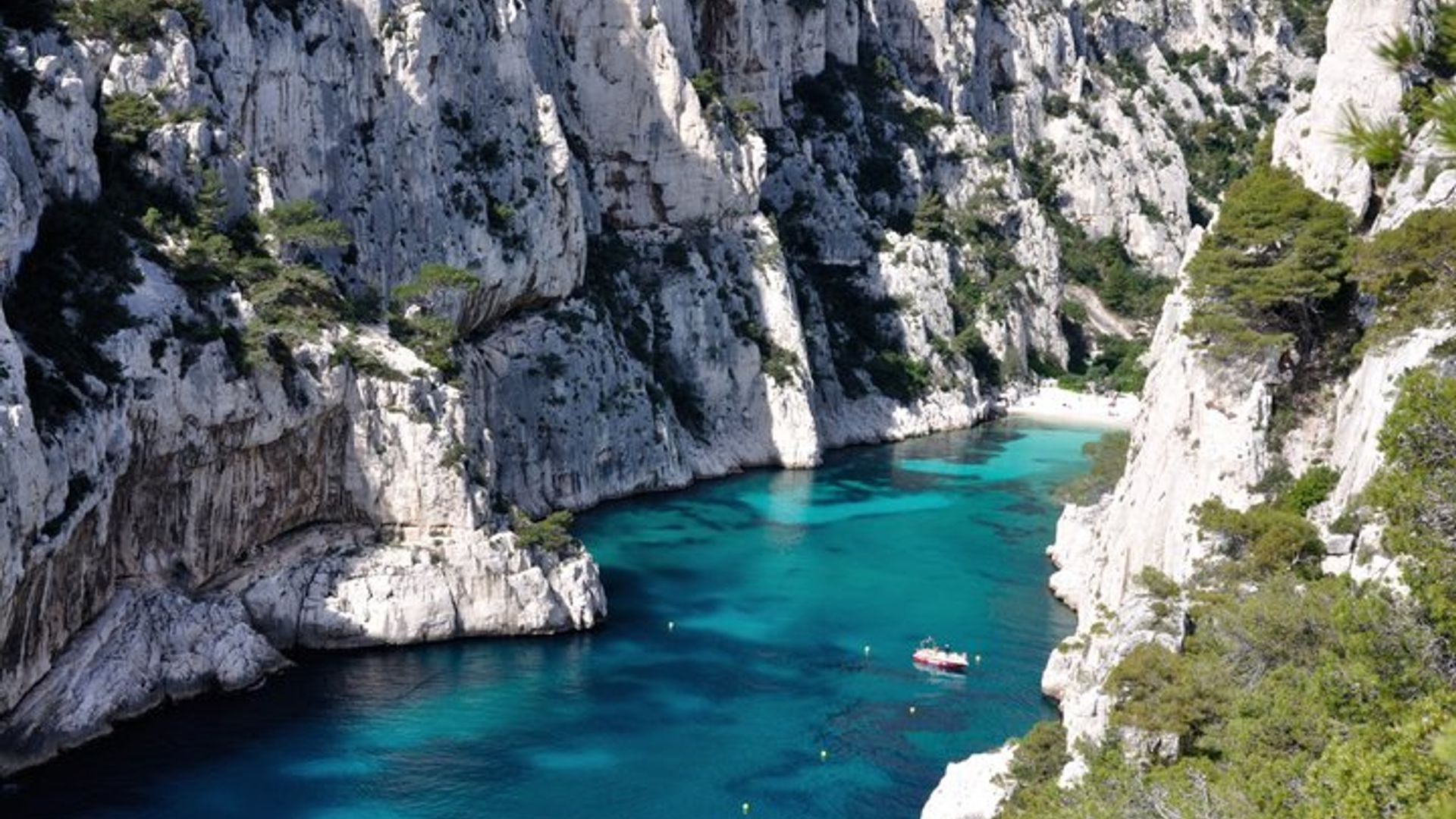 Beautiful boat tour in the Calanques with swimming