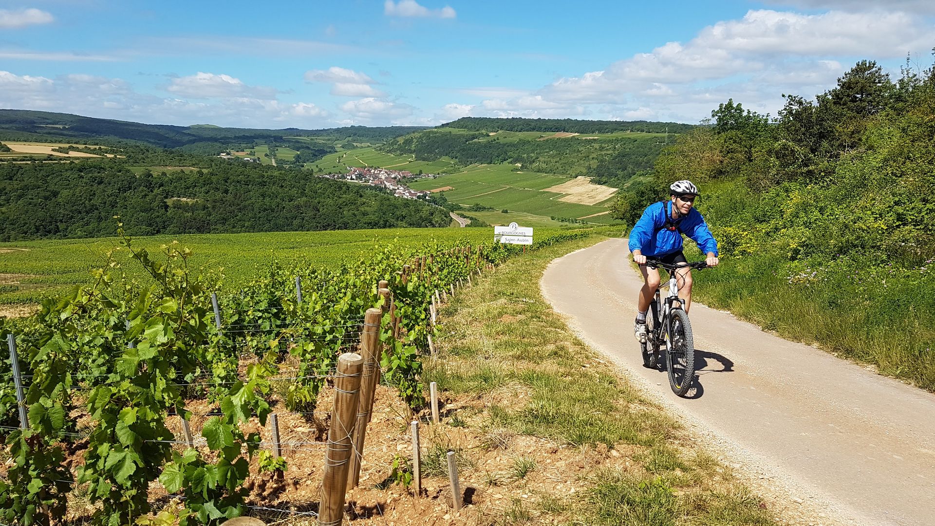 Half-Day Bike & Wine Tour in Burgundy's Côte de Beaune