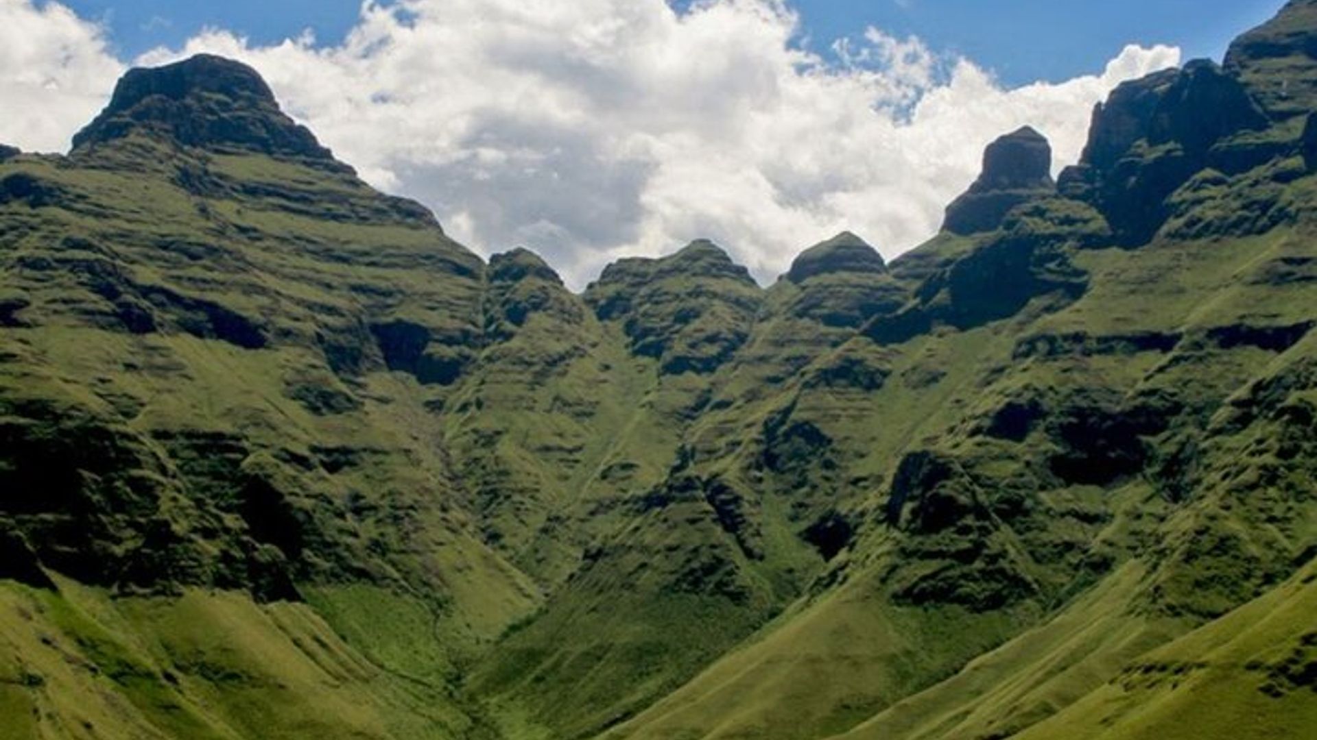 Garden Route Private 3 - Tagesausflug mit Botlierskop Safari
