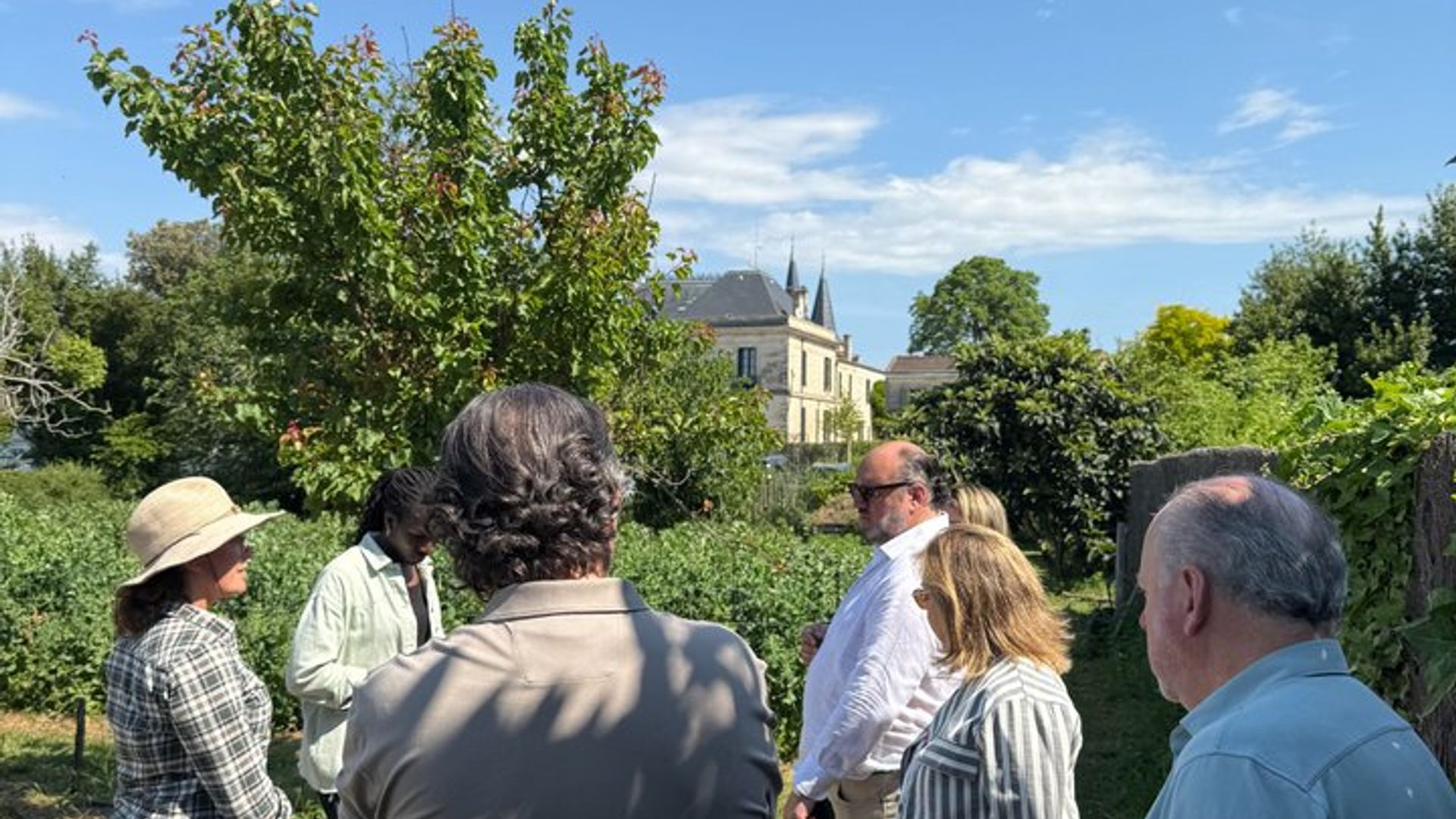 Tour privado y visitas en la ruta del castillo de Medoc (minivan de lujo)